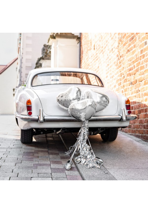 Party Deko ZDS1-018  | Decorazioni per auto - Kit argento ()
