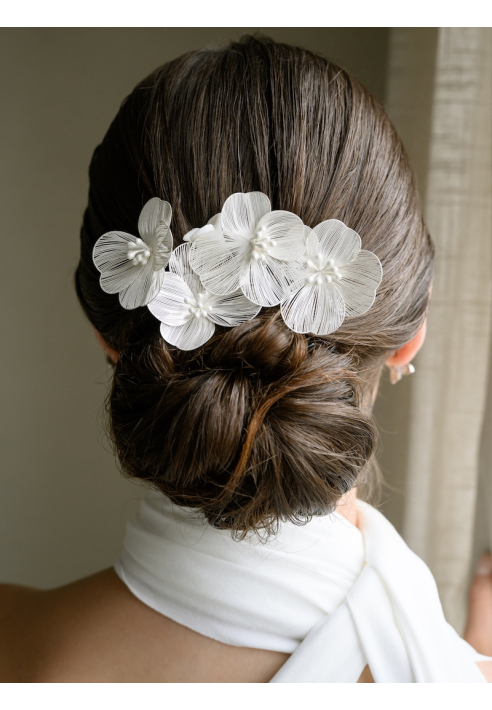 G. Westerleigh HC0416S Pettini per Capelli ()