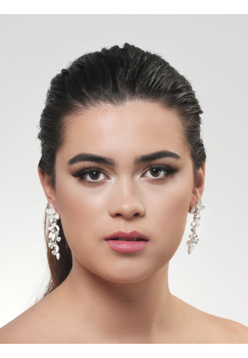 Poirier NC-1334 Orecchini Argento ()