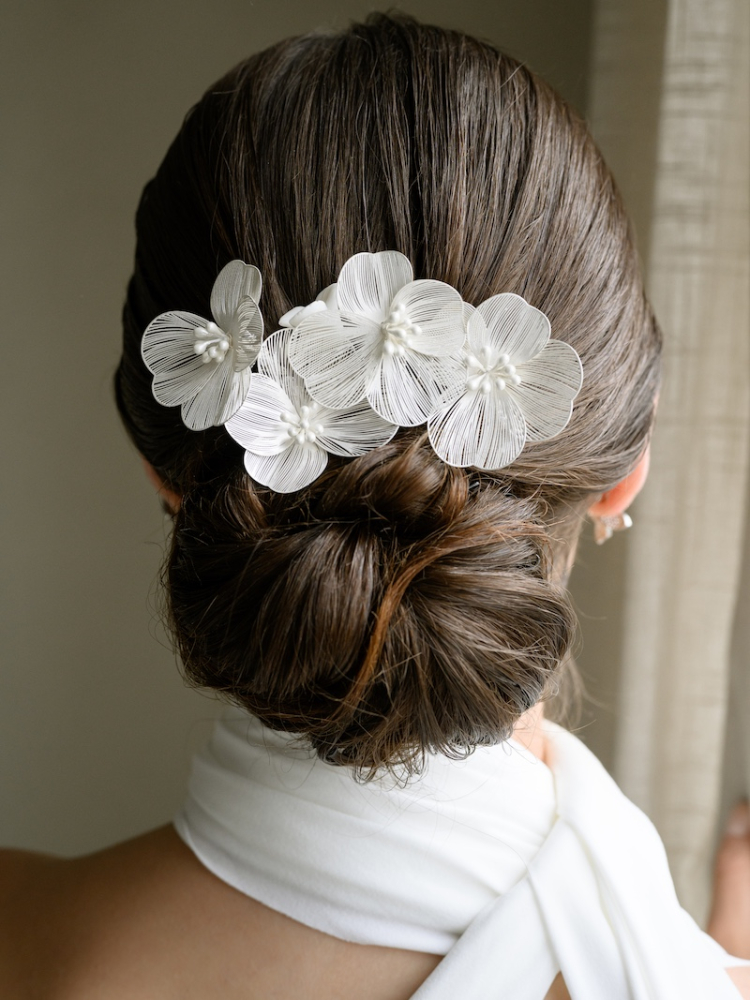 G. Westerleigh HC0416S Pettini per Capelli main product photo