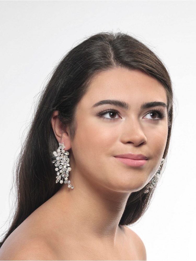 Poirier NC-1323-Silver | Orecchini Argento main product photo